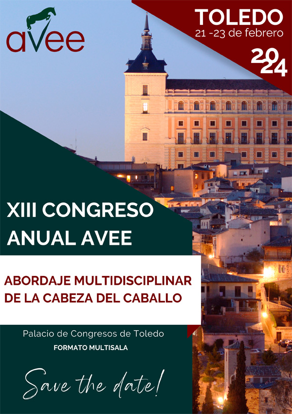Congreso Toledo